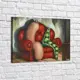 Картина без обрамления Red panda 60x40 см Горошек И Сосиска - p53719