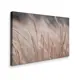 Картина без обрамления Red panda 60x40 см Осенние Травинки(40x60)