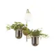 Светильник настенный Odeon Light Flower 4682/1W E14 1x1x40 Вт, цвет золотистый