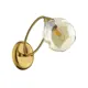 Бра Lumion «Orla» 4483/1W цвет золотой