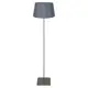 Торшер Lussole LSP-0516 цвет серебряный