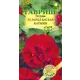 Петуния Даубл Каскад Кармин 5 шт.
