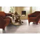 Ламинат Kronopol BlackPool Platinium Downing Oak 32 класс толщина10 мм с фаской 1.68 м²