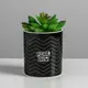 Кашпо 4918787 Дарите счастье 10 см 0.3 л керамика черный