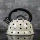 Чайник для плиты Доляна 4101880 2.8 л нержавеющая сталь цвет бежевый