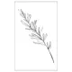 Постер на холсте Линии - Веточка акации 40x50 см в подарочном тубусе без рамы