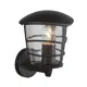 Светильник настенный уличный GLOBO 31835 Omero Black 60 Вт IP44 цвет черный