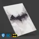 Картина без рамы DC comics Бэтмен Лого 40x60 см