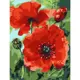Картина по номерам Molly 15x20 см Маки 12 цветов