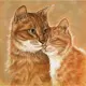 Алмазная мозаика Molly 30x30 см Секрет счастья (12 цветов)