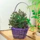 Корзина Simaland 14x30x14 см бамбук цвет фиолетовый