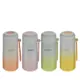 Термос Guangdong Light Houseware Co. LTD Пикник 300 мл нержавеющая сталь цвет разноцветный 756281