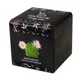 Набор для выращивания Small village Cube Эхиноцереус Oktaur SVC-02