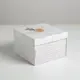 Коробка складная «Эко» 22х 22x15 см