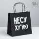 Пакет подарочный «Несу ху*ню» 22x22x11 см