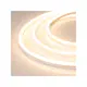 Светодиодная лента Arlight 030876 SMD 2835 108 диод/6 Вт/м 24 В IP65 50 м теплый белый свет