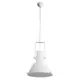 Люстра потолочная ARTE LAMP A8021SP-1WH A8021SP-1WH 1 лампа 2 м² цвет белый