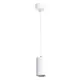 Люстра подвесная ARTE LAMP A1516SP-1WH Canopus 1 лампа 2 м² цвет белый