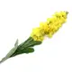 Искусственное растение Люпины Astra&Craft XY118-63004 78см D Желтый