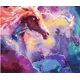 Картина по номерам на подрамнике Paintboy GX33967 Всплеск цвета 40x50