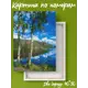 Картина по номерам на подрамнике Две березы 40х50
