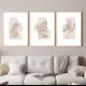 Постер 28 картин "Абстракция Растения ботаника в бежевых тонах" 70x50 см