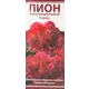 Пион молочноцветковый Кэрол разбор 2-3