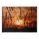 Холст без подрамника "На закате" 50x70 см