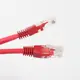 Патчкорд UTP Pro Legend кат.5E RJ-45 вилка - RJ-45 вилка красный 5 м