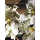 Картина на стекле Белые ирисы 2 60x80 см
