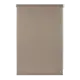 Рулонная штора Prakto Shantung 50x160 см цвет капучино