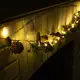Электрогирлянда комнатная Luazon lighting 7648906 роса 1.5 м 30 ламп бесцветный 1 режим работы