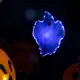 Светящаяся электрическая фигура Призрак для дома Luazon lighting 1 ламп h 3 см белый