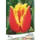 Тюльпан бахромчатый «Давенпорт», высота 40 см, 3 шт.