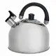 Чайник Webber BE-0527 3.5 л нержавеющая сталь цвет серебристый