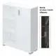 Полка Мэрдэс ПУ-50-2-ФС БЕ 89.40x109.60x30 см нагрузка до 40 кг ЛДСП цвет белый жемчуг