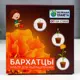 Набор для выращивания Simaland с глиняным горшочком Бархатцы
