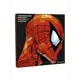 Постер Огого обстановочка! "Человек-паук" 25x25 см без рамы