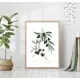 Постер 28 картин "Ветка оливы" 50x40 см без рамы
