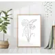 Постер 28 картин "Листья монстеры" линейный рисунок 40x50 см, в подарочном тубусе без рамы