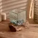 Вазон на коряге Simaland Удача 18x15x15 см