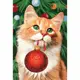 Картина по номерам на холсте с подрамником «Рыжий кот с шариком» 20x30 см