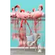 Фотообои флизелиновые Bartonwall 200x270 см 3d Фламинго