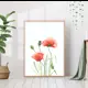 Постер 28 картин "Красные маки" 50x70 см в подарочном тубусе