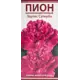 Пион молочноцветковый травянистый Эдулис Суперба