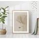 Постер 28 картин "Сухие пальмовые листья 2" 50x70 см в подарочном тубусе без рамы