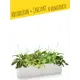 Кашпо подвесное с автополивом Lechuza Balconera Color 80 15707 12 л