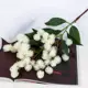 Цветы искусственные Рицина 2.5x73 см белый