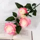 Цветы искусственные Роза Жанна 10x61 см бело-розовый