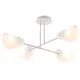 Люстра потолочная Mallow FR5228PL-04W 4 лампы